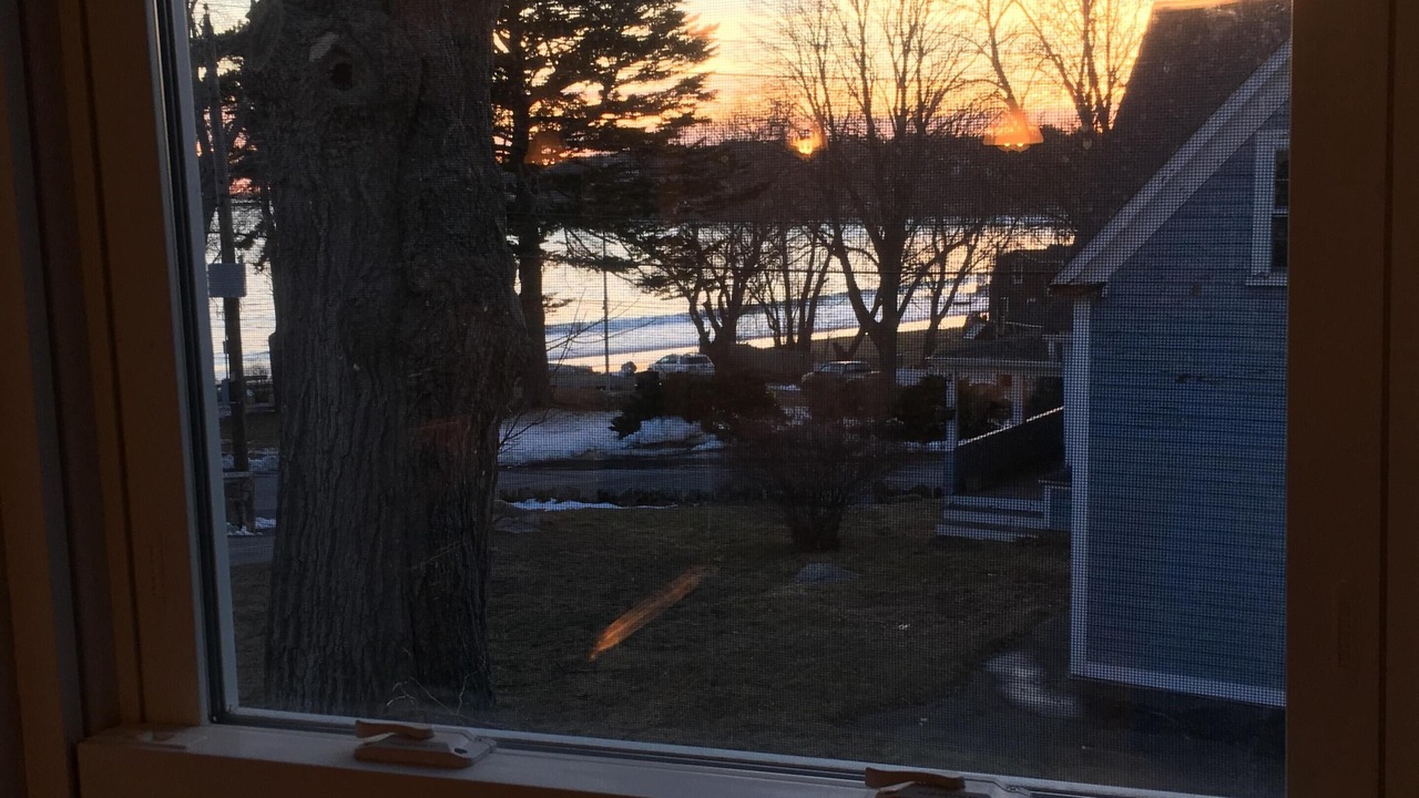 Photo of Others in Magnolia