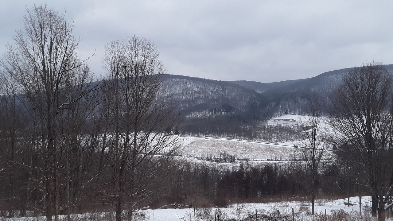 Photo of Others in Springwater