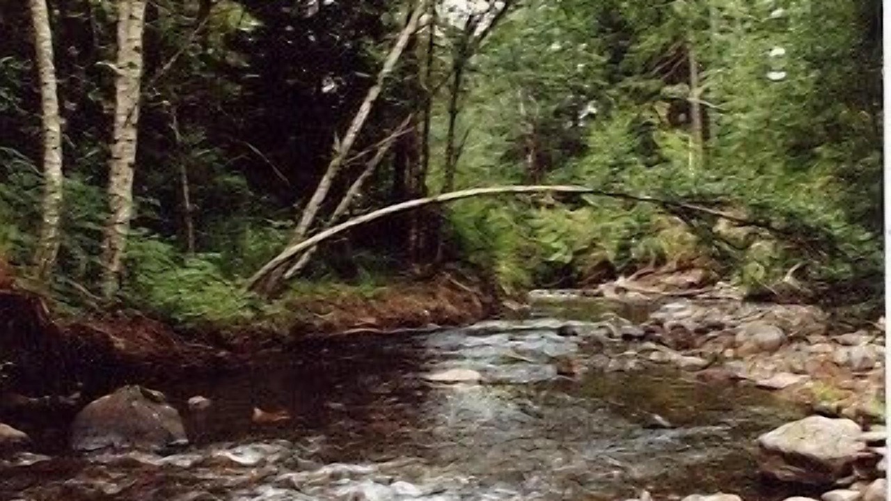Photo of Outdoor in Ashford