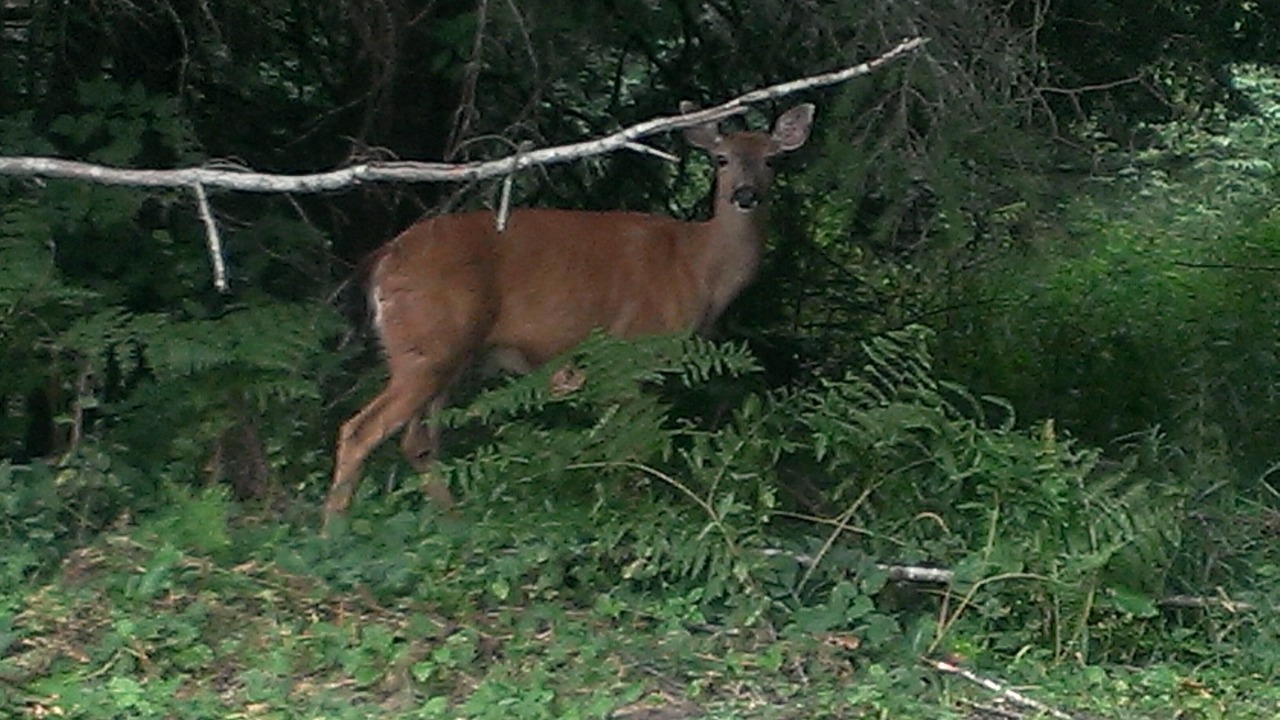 Photo of Outdoor in Ashford