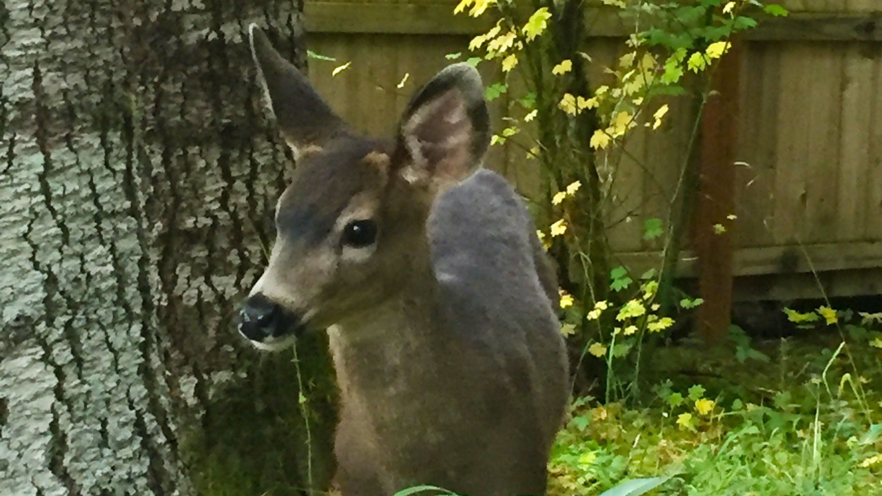 Photo of Outdoor in Ashford