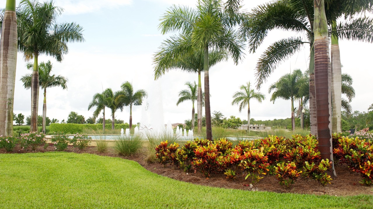 Photo of Outdoor in Naples
