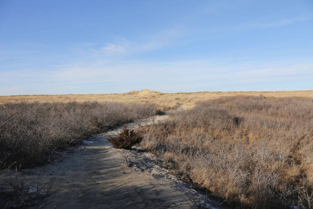 Photo of Others in Aquinnah