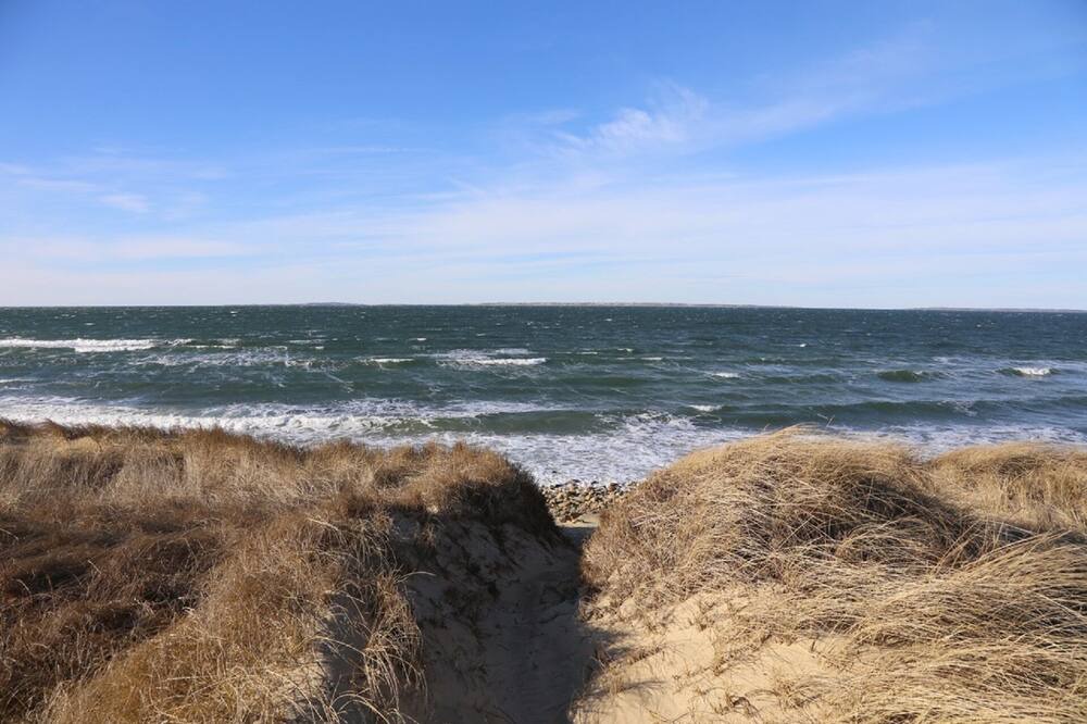 Photo of Others in Aquinnah