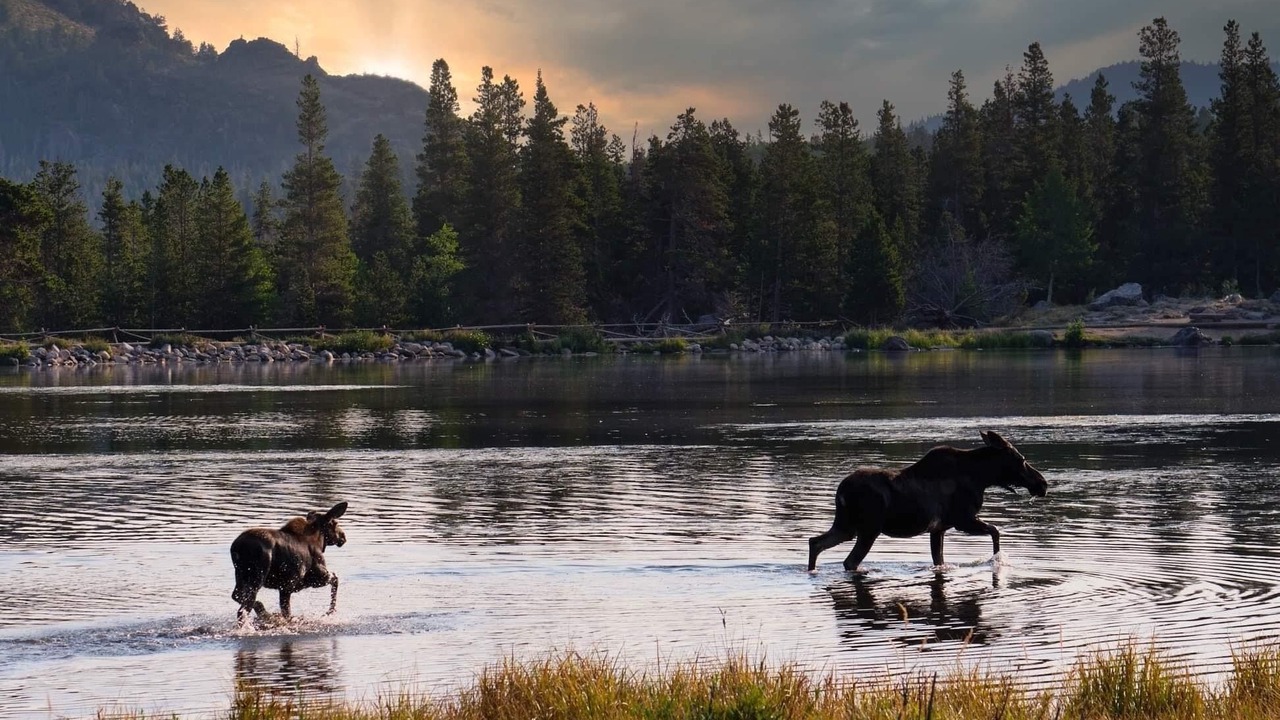 Photo of Others in Estes Park