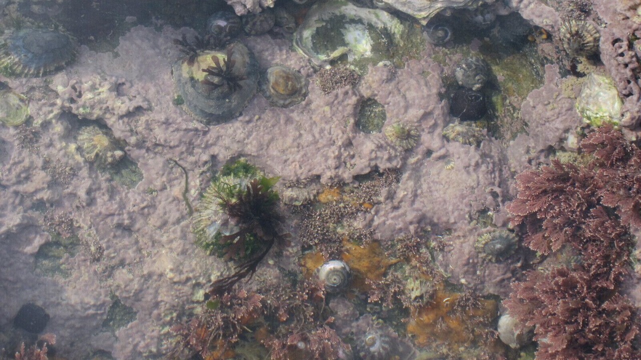 Photo of Outdoor in Tharon-Plage