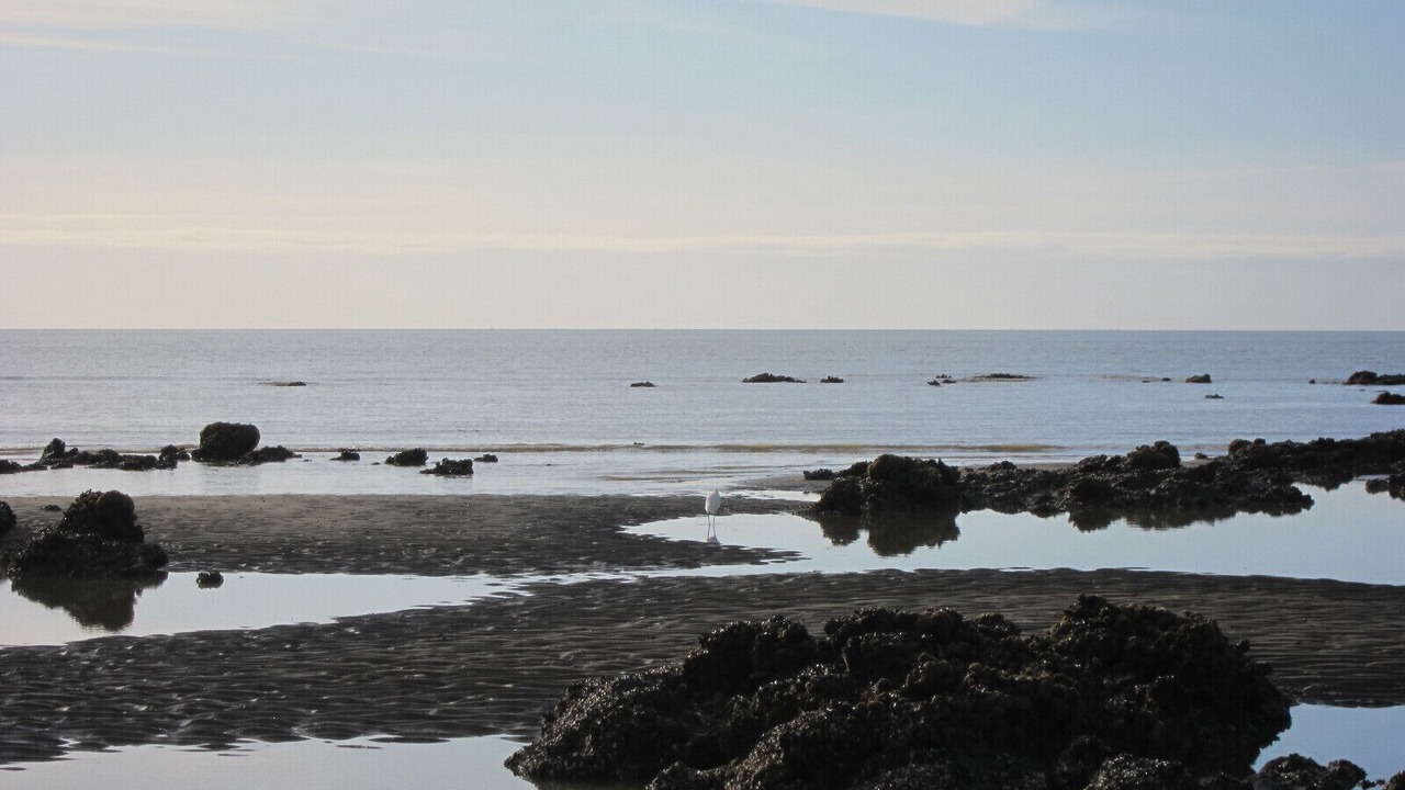 Photo of Others in Tharon-Plage