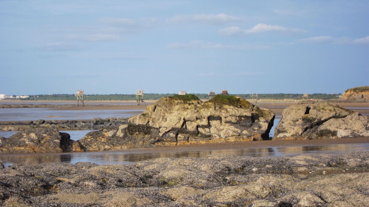Photo of Others in Tharon-Plage