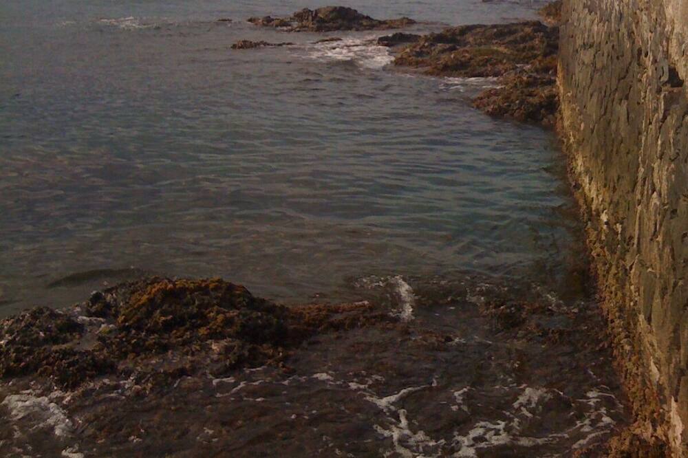 Photo of Others in Banyuls-sur-Mer