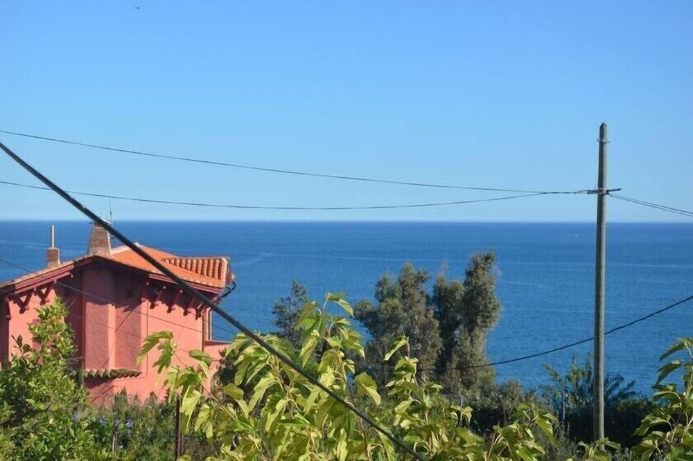Photo of Others in Banyuls-sur-Mer