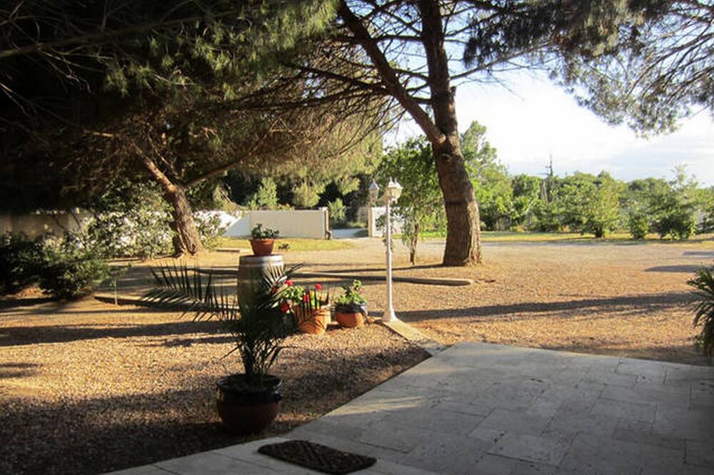 Photo of Outdoor in Saint-Cyprien