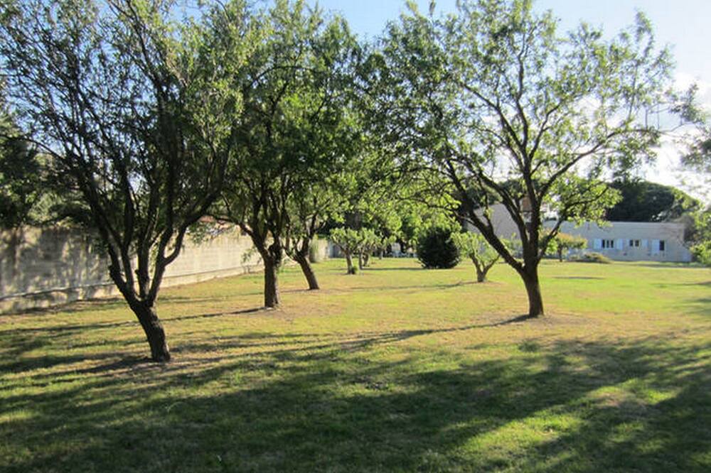 Photo of Outdoor in Saint-Cyprien