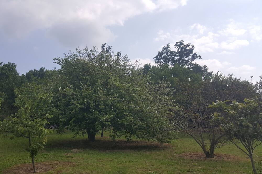 Photo of Outdoor in Saint-Cyprien