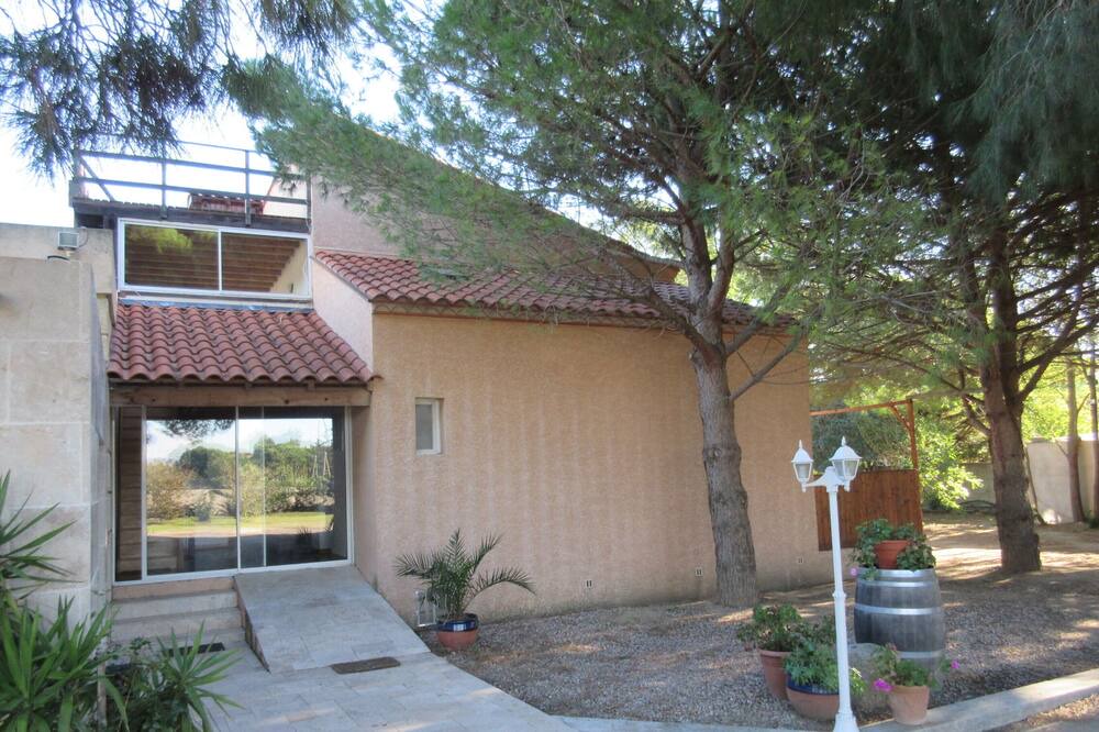 Photo of Outdoor in Saint-Cyprien