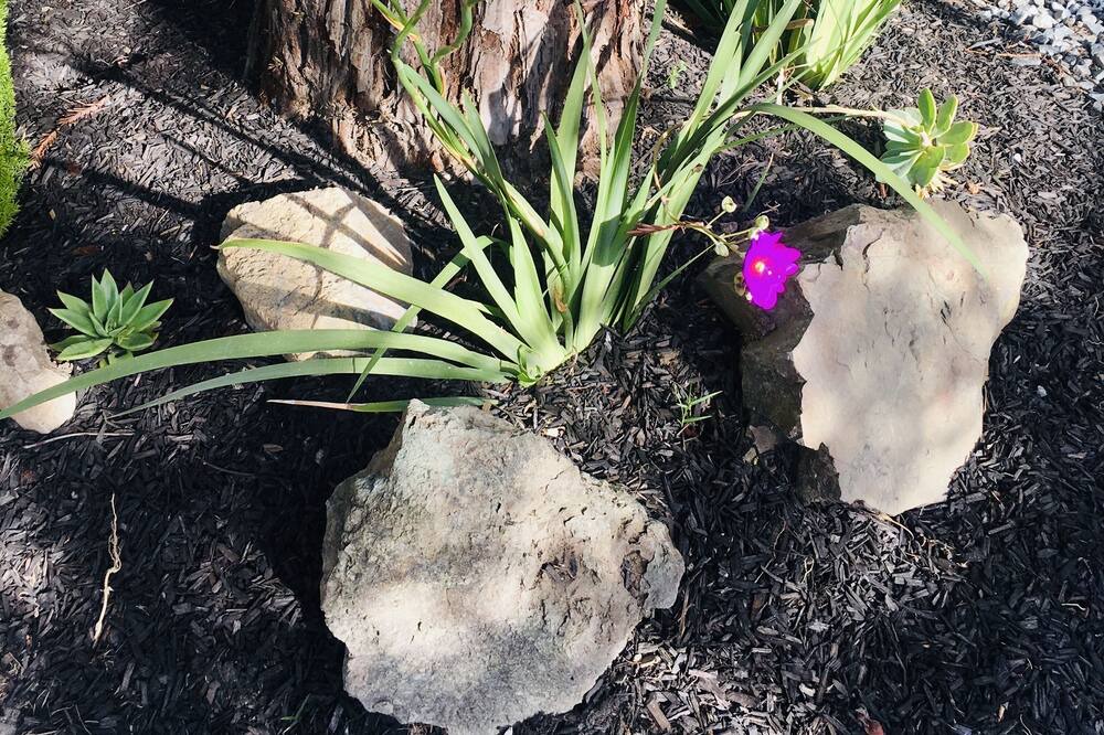 Photo of Others in Martinez