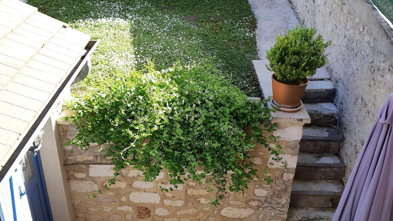 Photo of Outdoor in Provins