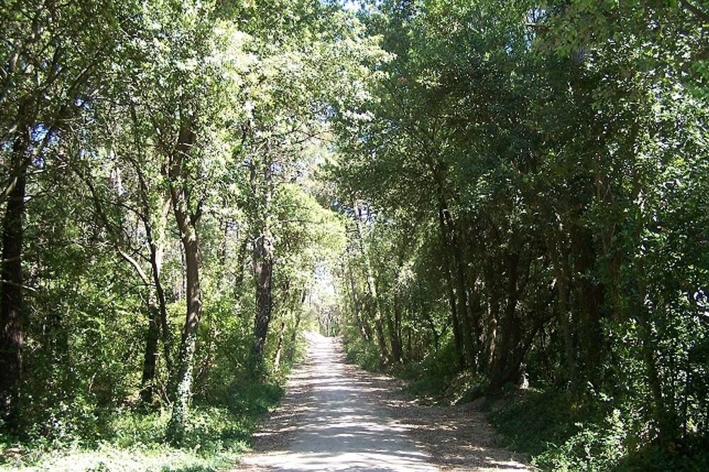Photo of Outdoor in La Barre-de-Monts