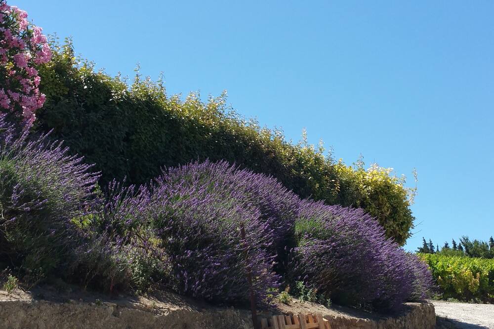 Photo of Outdoor in Carcassonne