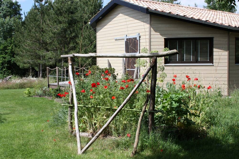 Photo of Outdoor in Froidfond