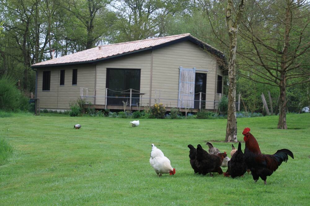 Photo of Outdoor in Froidfond