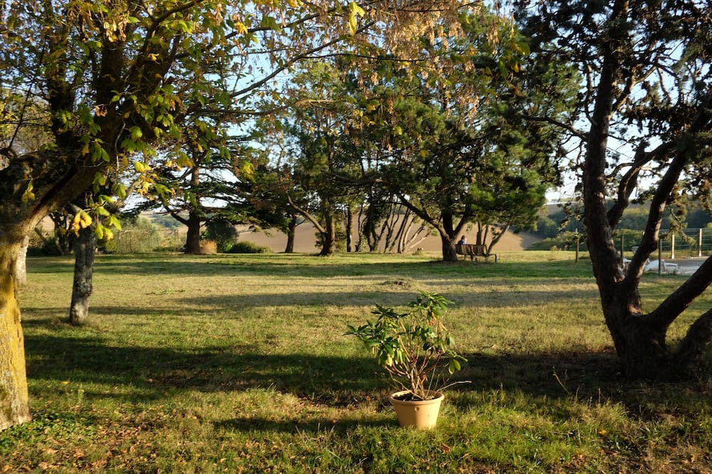 Photo of Outdoor in Cintegabelle