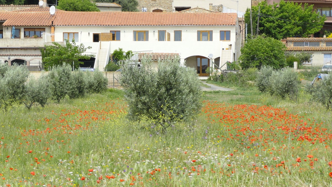 Photo of Outdoor in Masarac