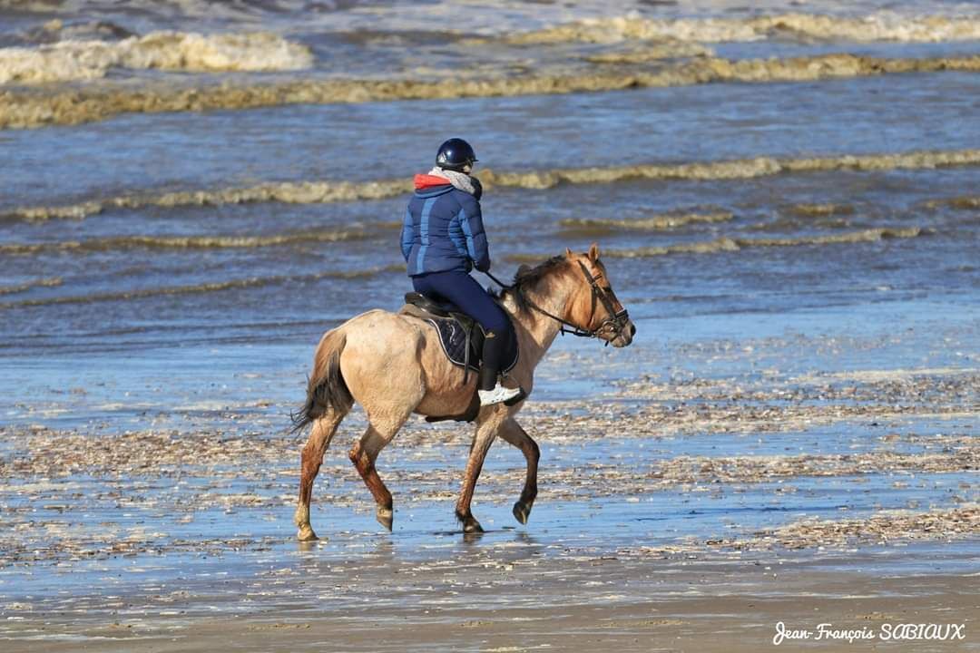Photo of Others in Dunkirk