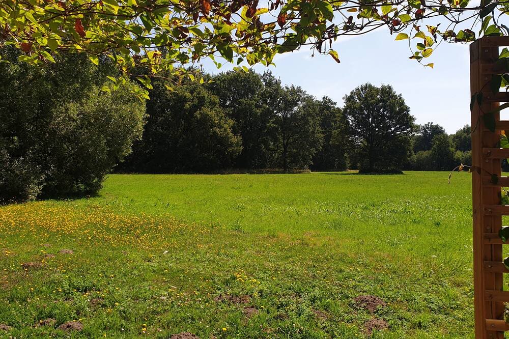 Photo of Outdoor in Loire-Authion