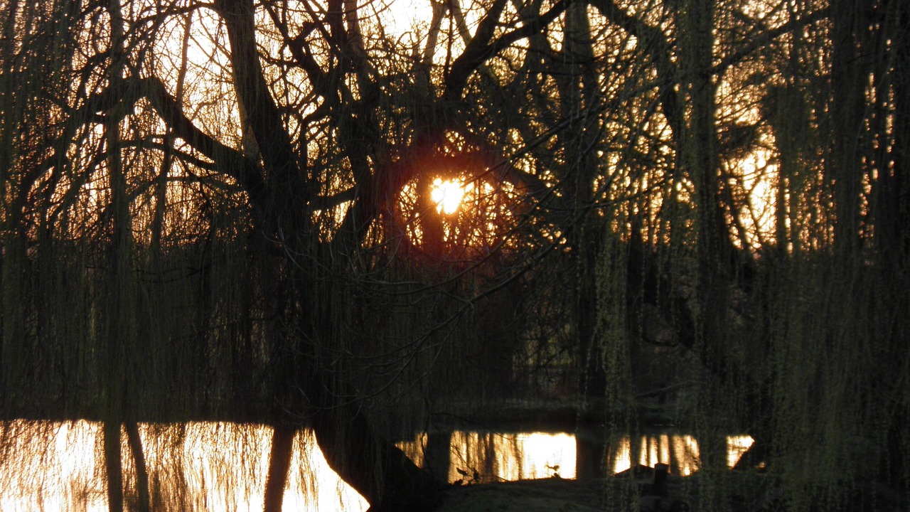 Photo of Outdoor in Foussais-Payre