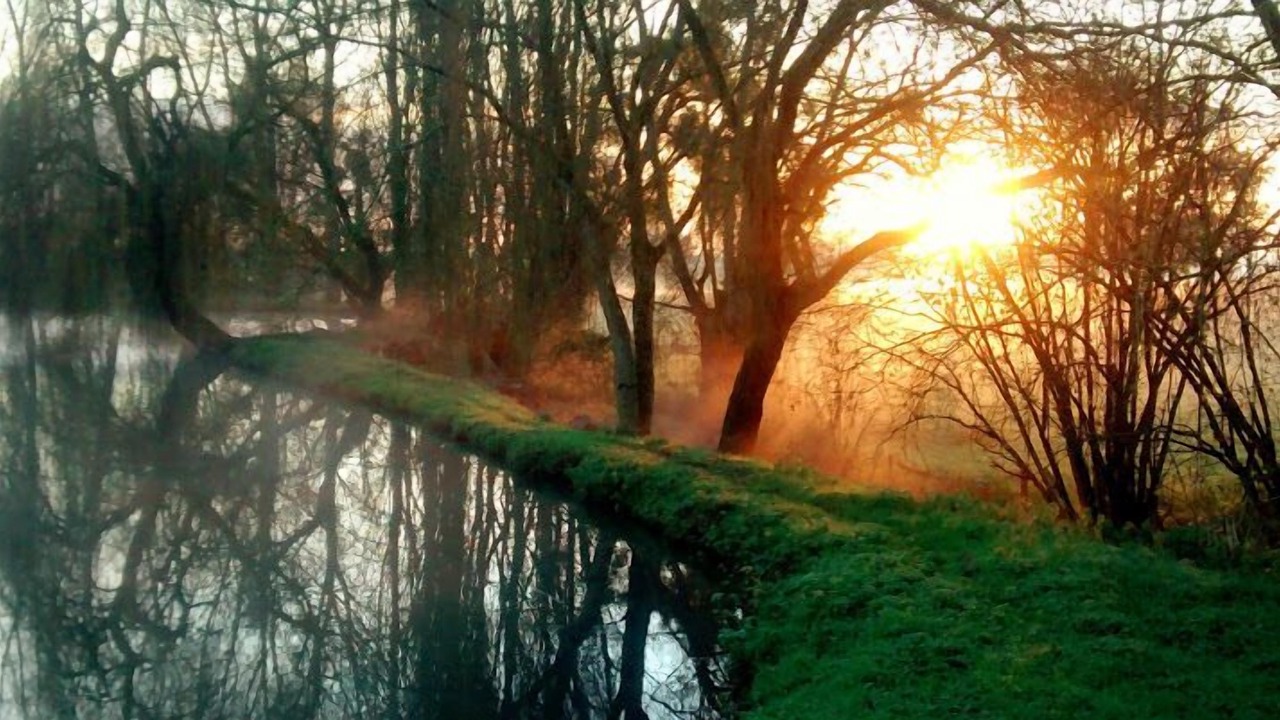Photo of Outdoor in Foussais-Payre