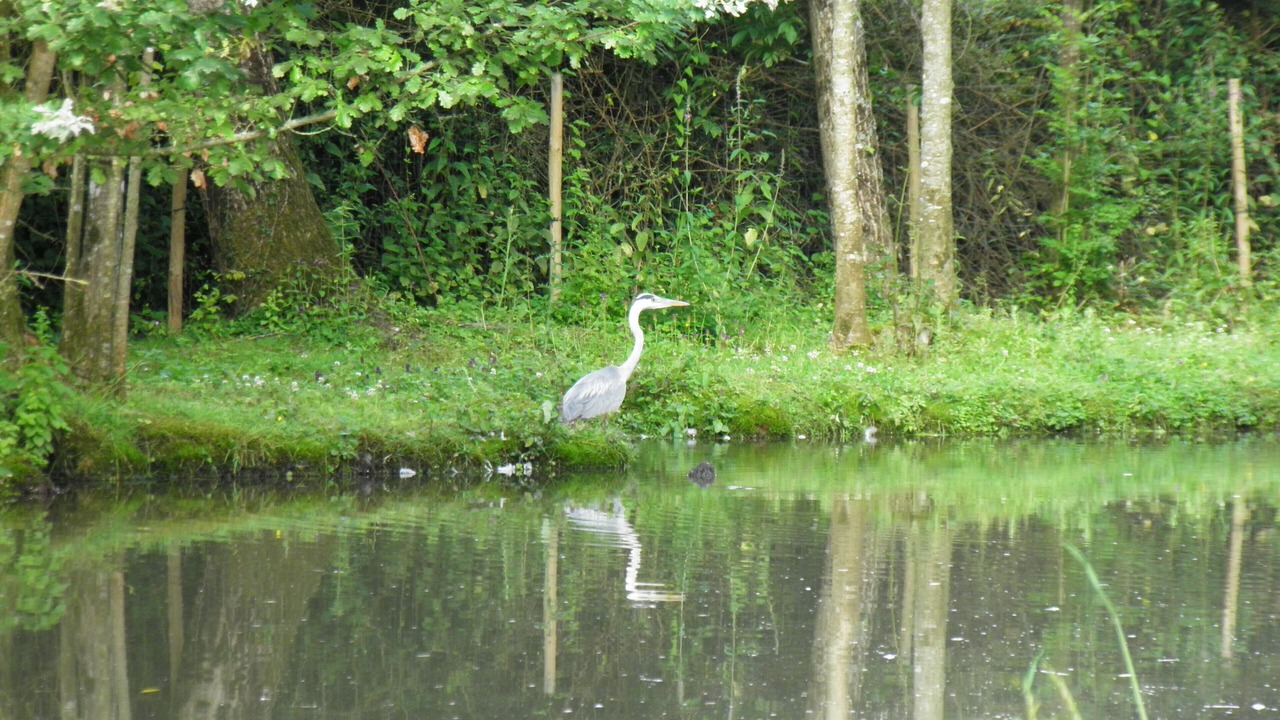 Photo of Outdoor in Foussais-Payre
