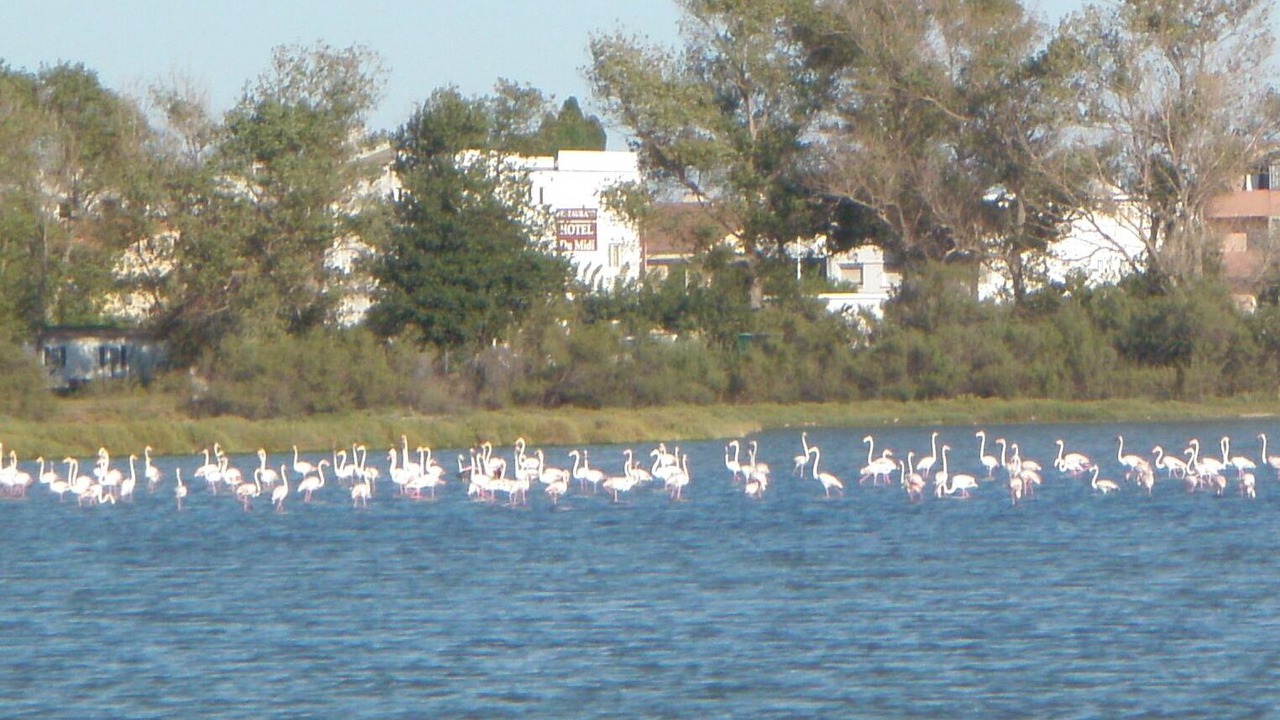 Photo of Others in Port Ariane