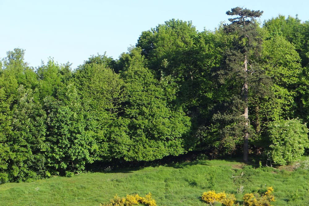 Photo of Outdoor in Bois-Guillaume