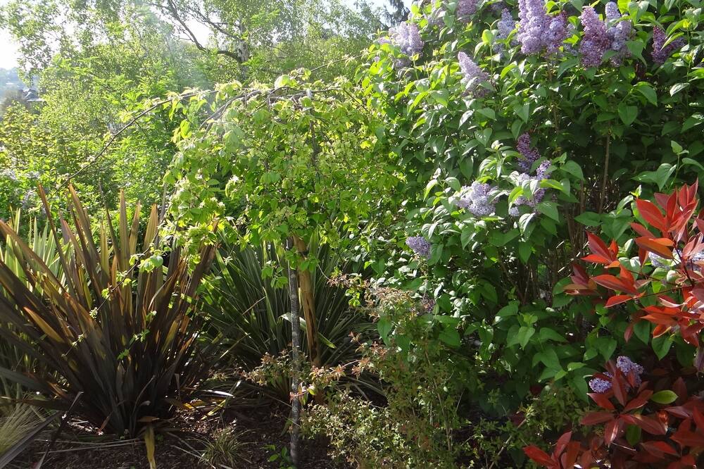 Photo of Outdoor in Bois-Guillaume