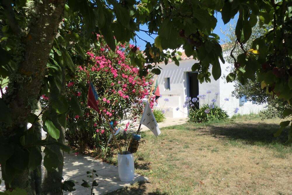 Photo of Outdoor in Barbatre