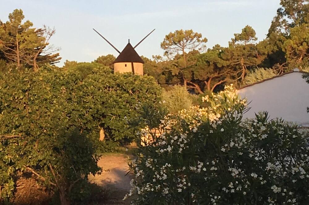 Photo of Outdoor in Barbatre