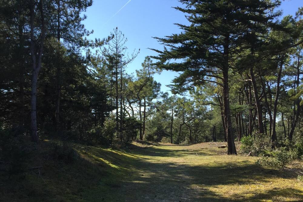 Photo of Outdoor in Barbatre
