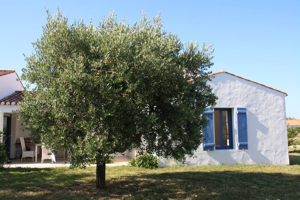 Photo of Outdoor in Barbatre