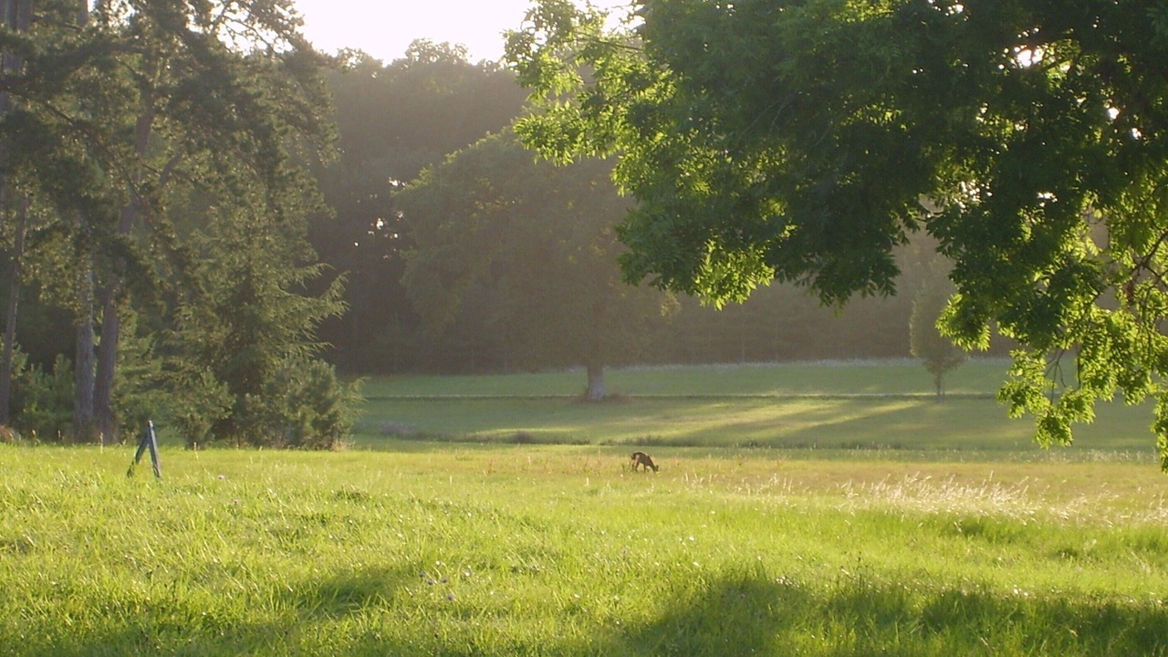 Photo of Others in Lasse