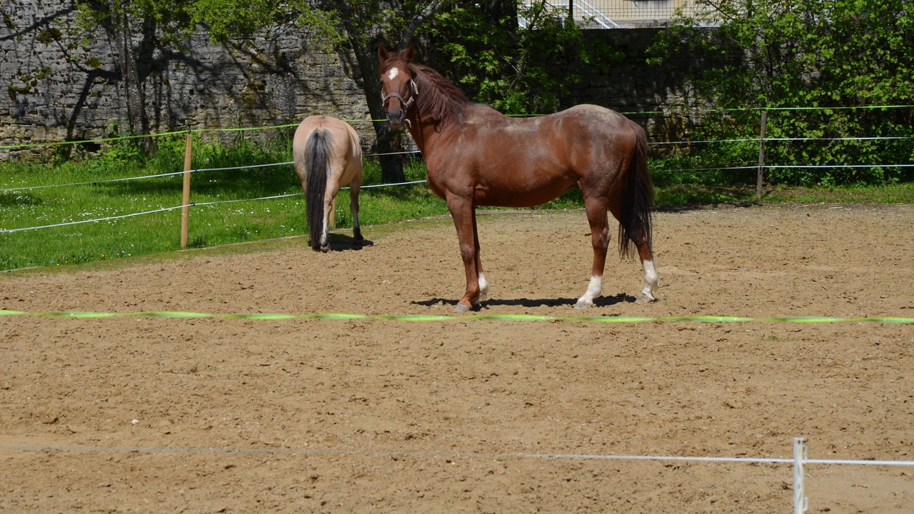 Photo of Others in Saint-Laurent-en-Grandvaux