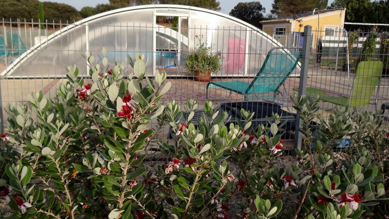 Photo of Outdoor in Aspiran