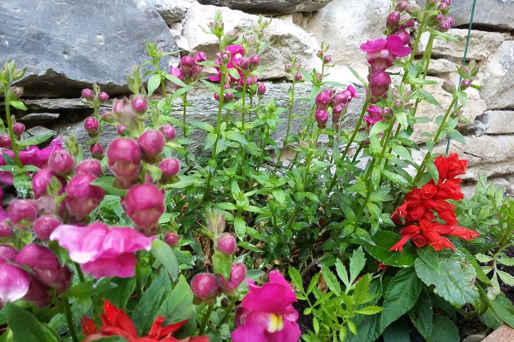 Photo of Outdoor in Saint-Pastous
