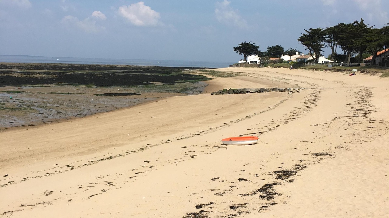 Photo of Others in Noirmoutier-en-l'Ile