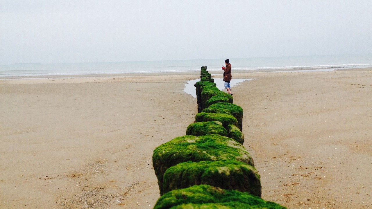 Photo of Others in Oye-Plage