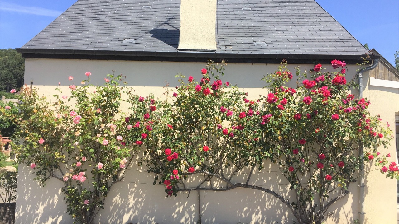 Photo of Outdoor in Saint-Jean-le-Thomas