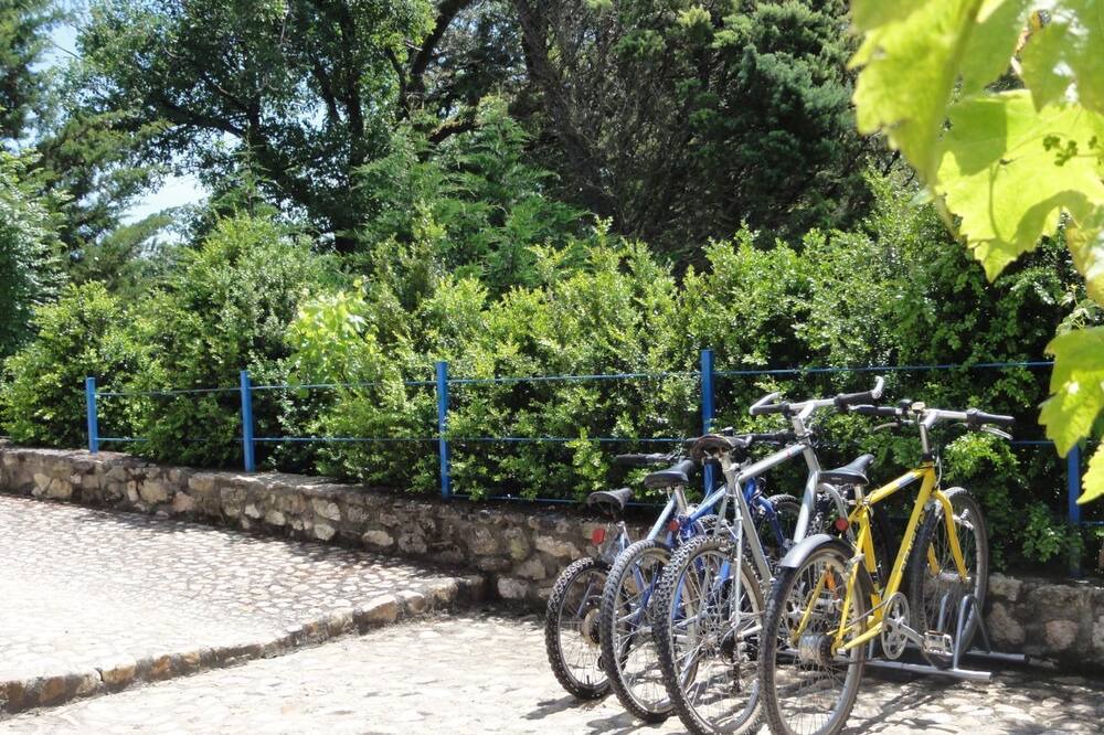 Photo of Outdoor in Saint-Julien-du-Puy