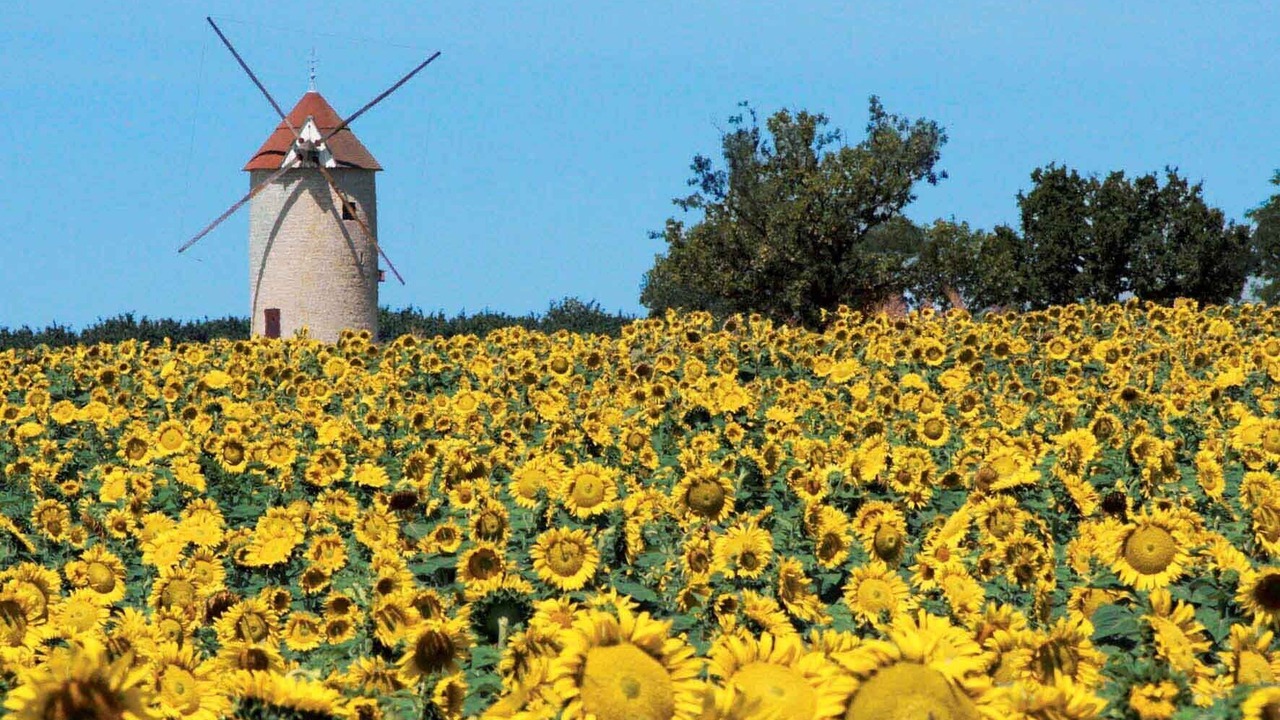 Photo of Outdoor in Roquecor