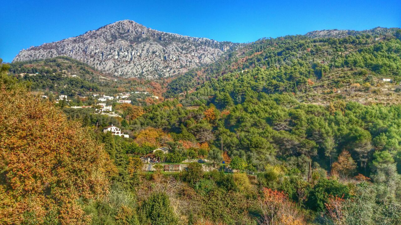 Photo of Outdoor in Castellar