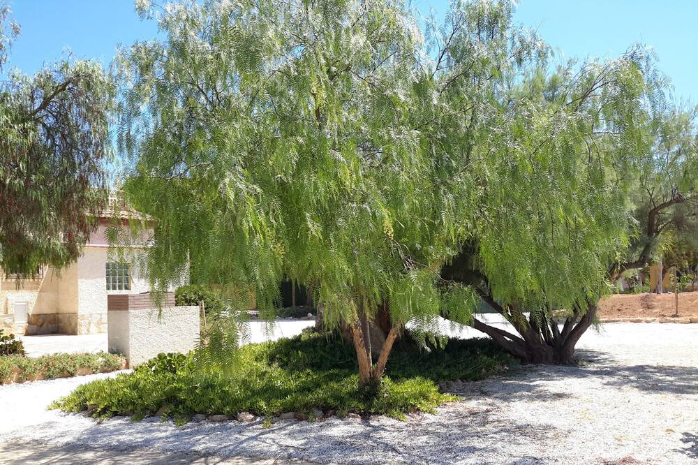 Photo of Outdoor in Los Arenales del Sol
