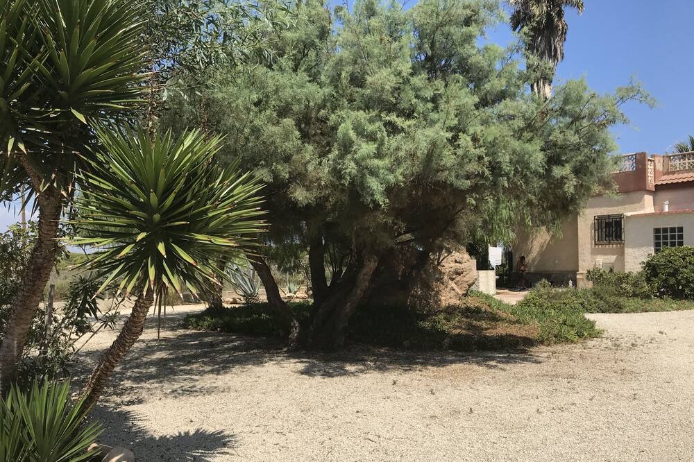 Photo of Outdoor in Los Arenales del Sol